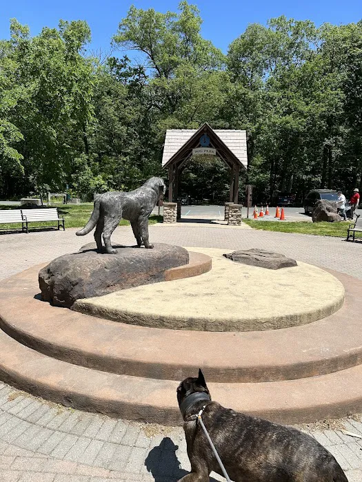 Large Dog Area 5