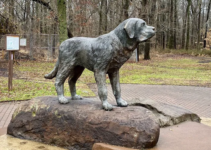 South Mountain Dog Park 2