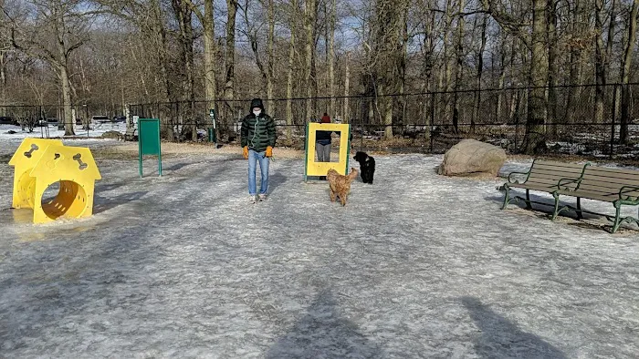 South Mountain Dog Park 6
