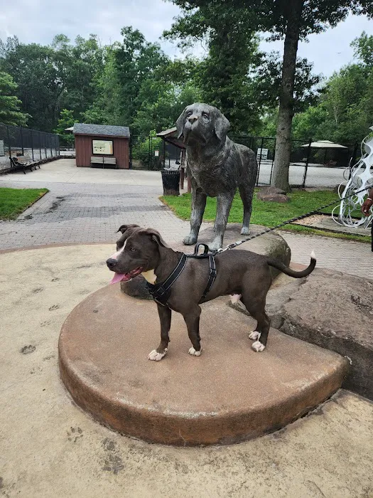 South Mountain Dog Park 10