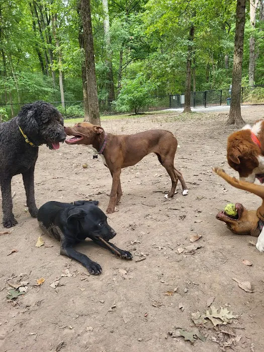 Madison Dog Park 2
