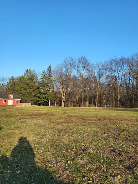 Madison Dog Park 1