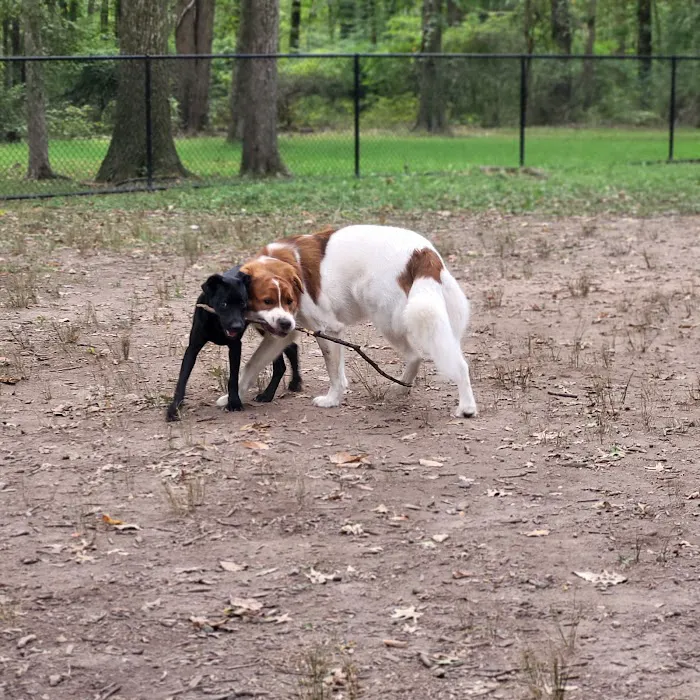 Madison Dog Park 6