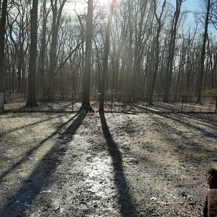 Madison Dog Park 5