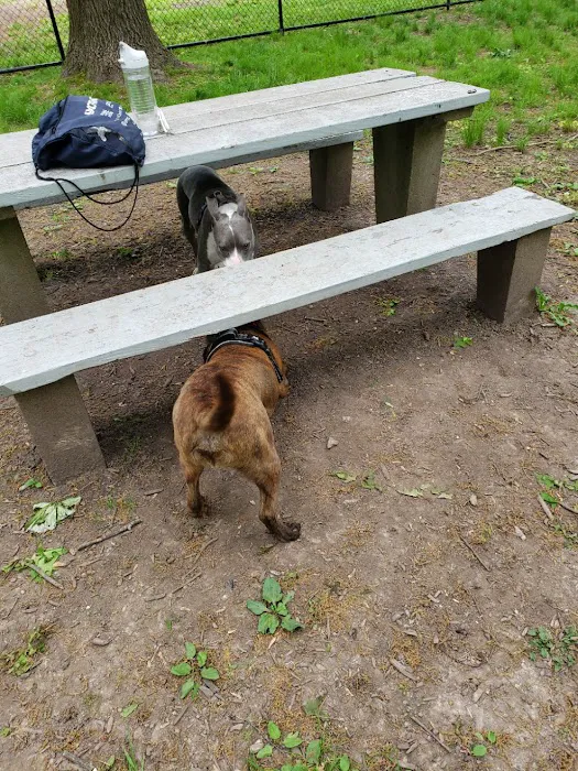 Madison Dog Park 9