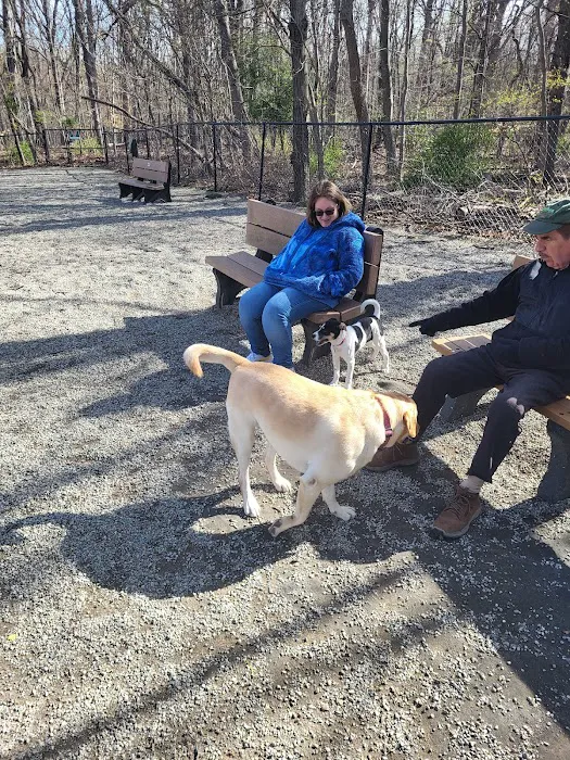 Livingston Dog Park 3