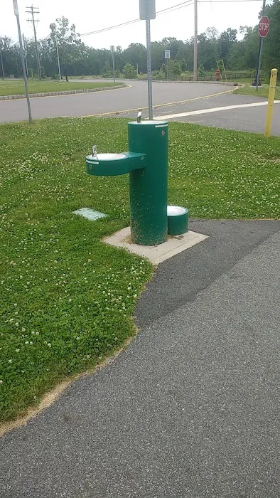 Elm Street Dog Park 4