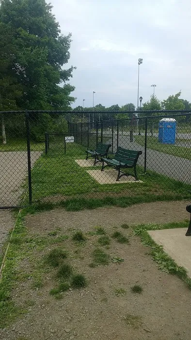 Elm Street Dog Park 6
