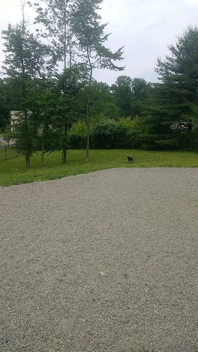 Elm Street Dog Park 8