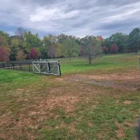 Colonial Dog Park ico