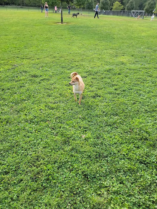 Colonial Dog Park 2