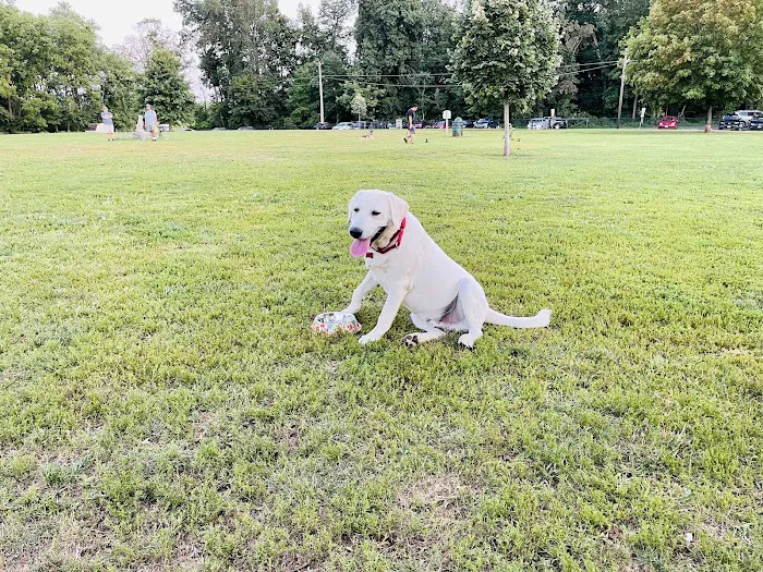 Colonial Dog Park 4