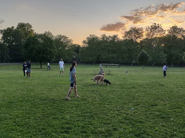 Colonial Dog Park 3