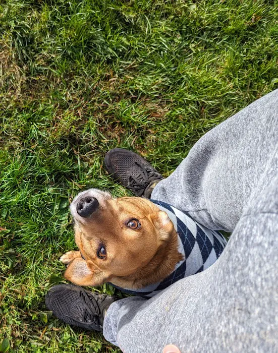 Colonial Dog Park 8