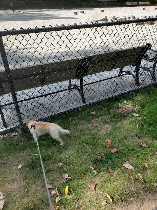 Essex County Branch Brook Park Dog Park 2