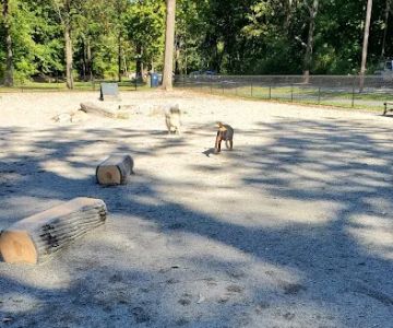 Essex County Branch Brook Park Dog Park