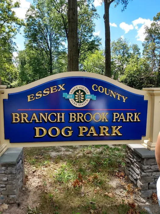 Essex County Branch Brook Park Dog Park 4