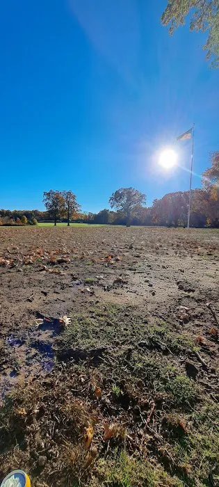 Essex County Branch Brook Park Dog Park 9