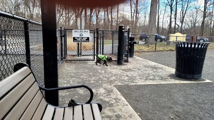 Essex County Branch Brook Park Dog Park 10
