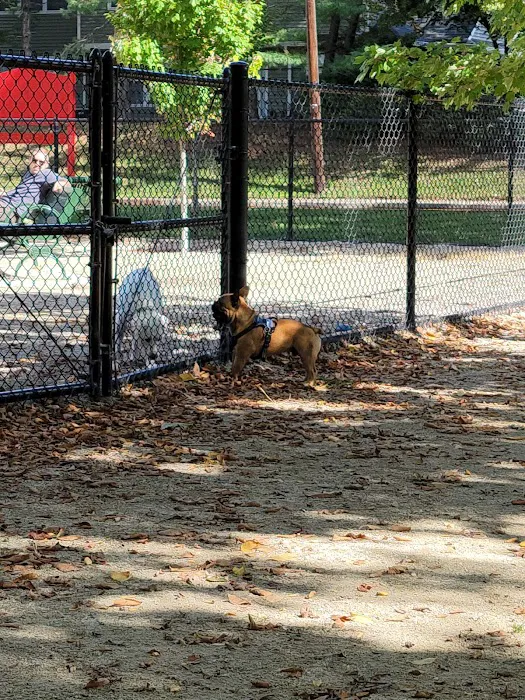 Kearny Dog Park 1