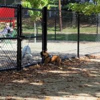 Kearny Dog Park ico