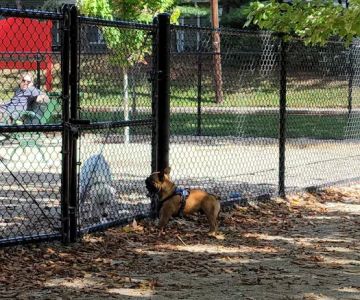 Kearny Dog Park