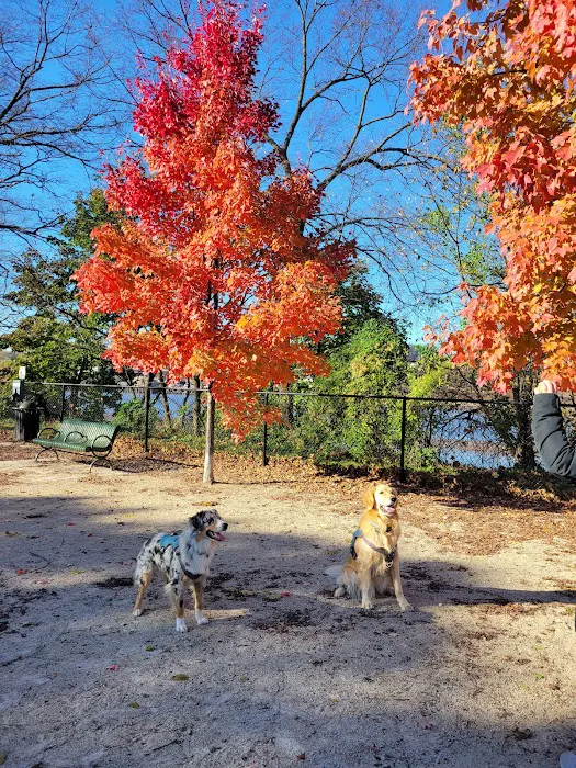 Kearny Dog Park 6