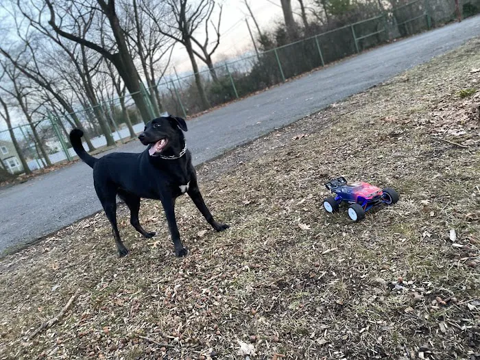 Kearny Dog Park 10
