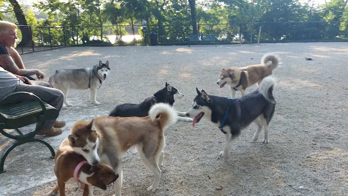 Kearny Dog Park 9