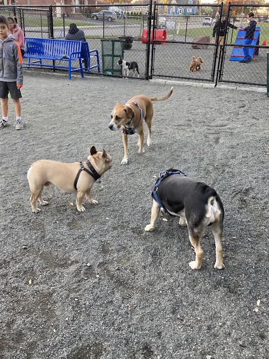 Belleville Dog Park 3