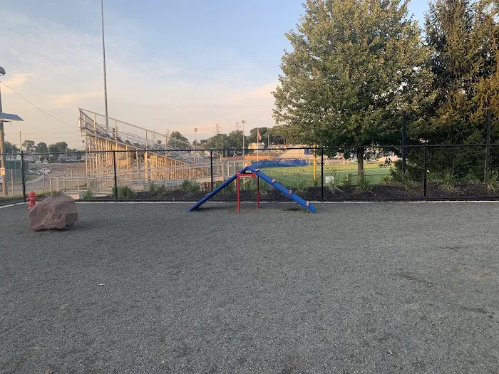 Belleville Dog Park 4