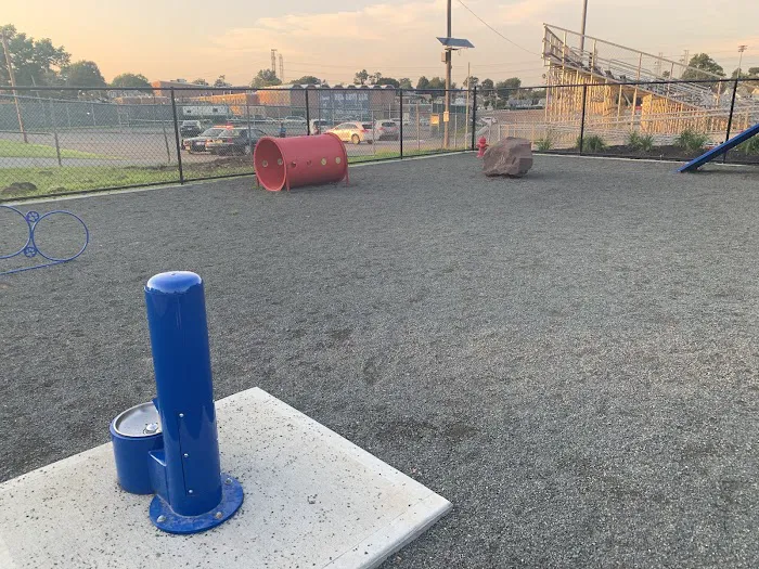 Belleville Dog Park 5