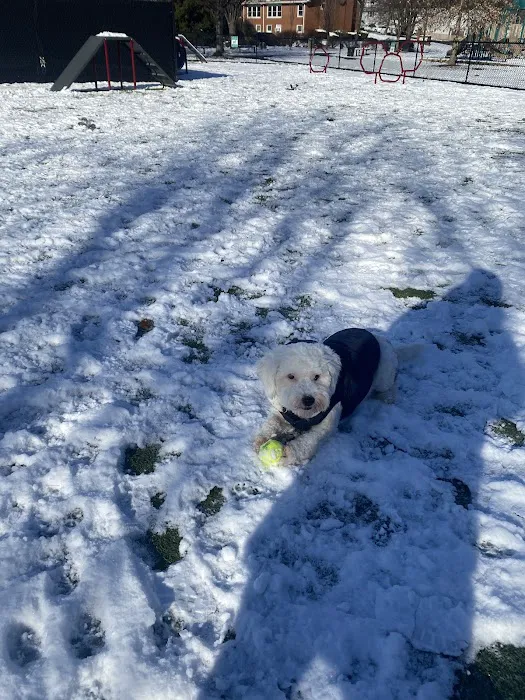 Nutley Dog Park 7