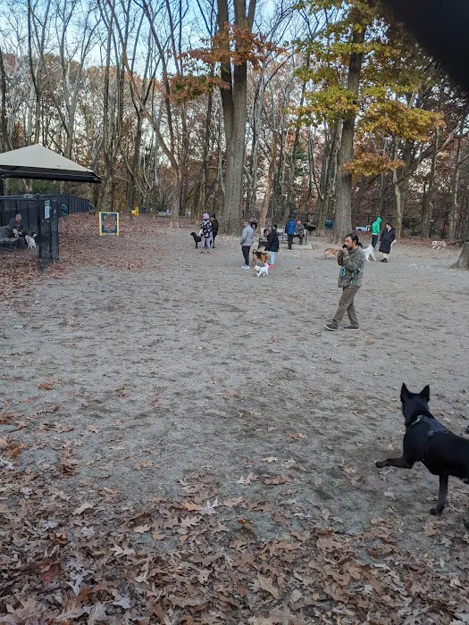 Brookdale Dog Park 4