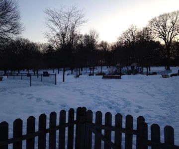 Brookdale Dog Park