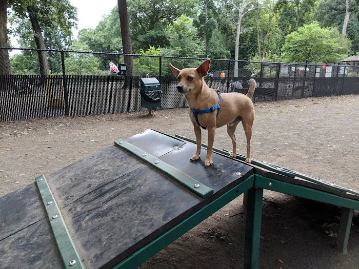 Brookdale Dog Park 2