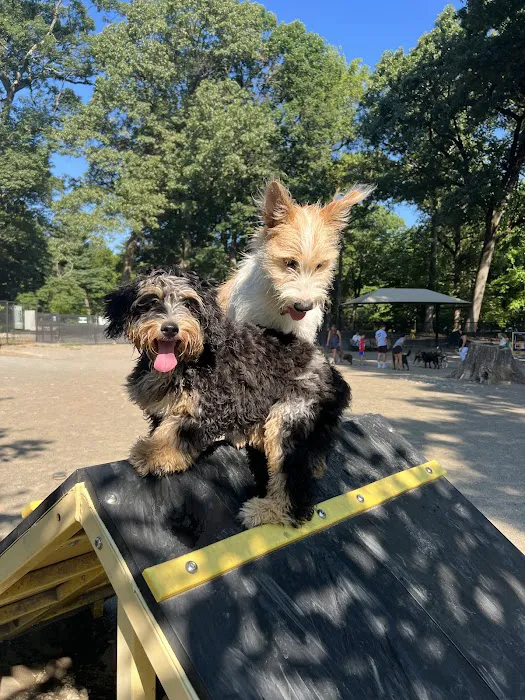Brookdale Dog Park 3