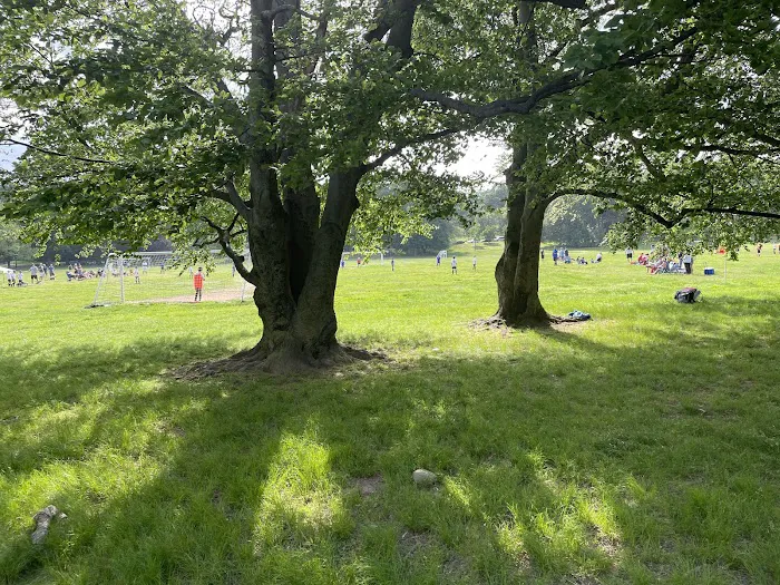 Brookdale Dog Park 6