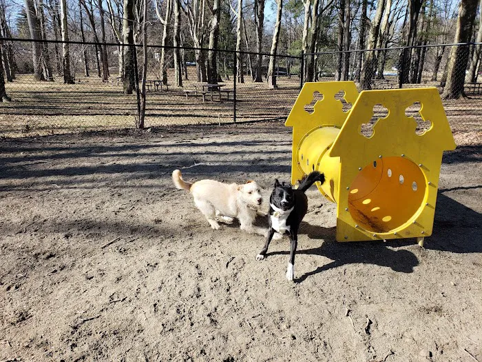 Brookdale Dog Park 5