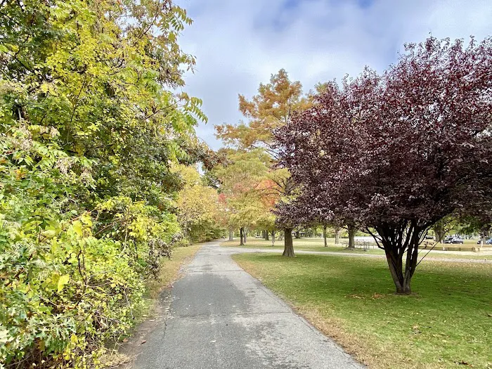 Lyndhurst Dog Park 6