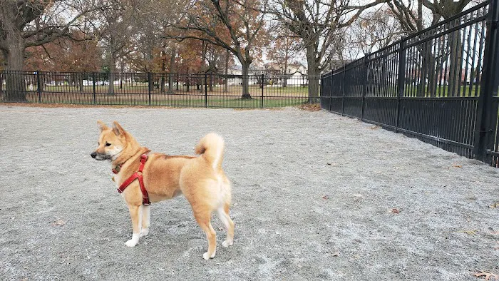 Lyndhurst Dog Park 5