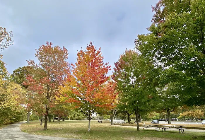 Lyndhurst Dog Park 2