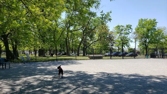 Lyndhurst Dog Park 3