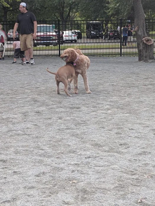 Lyndhurst Dog Park 8