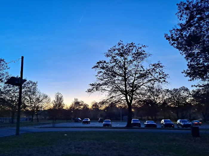 Lyndhurst Dog Park 7