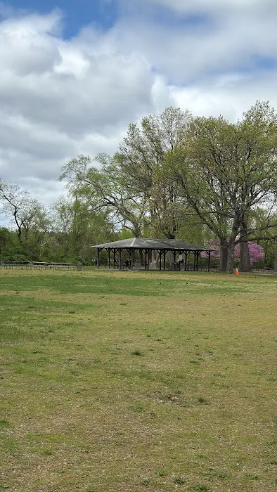 Lyndhurst Dog Park 9