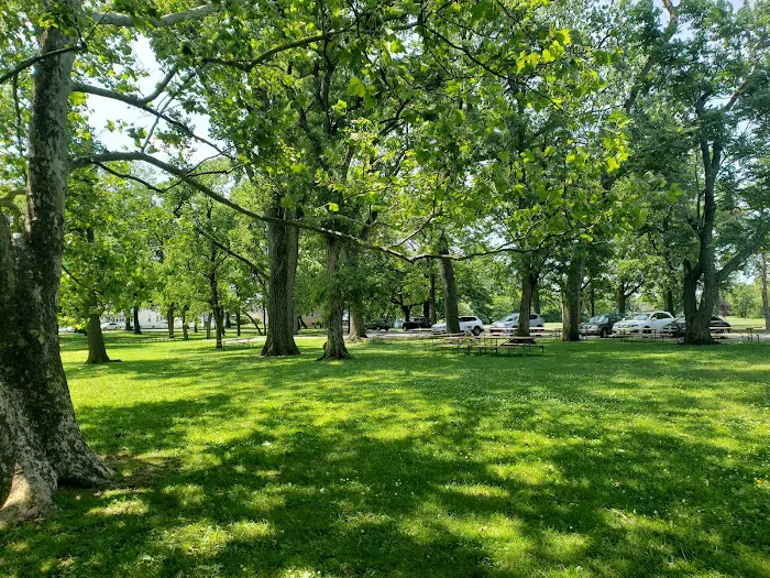 Lyndhurst Dog Park 10