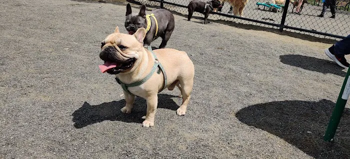 Hilltop Reservation Dog Park 3