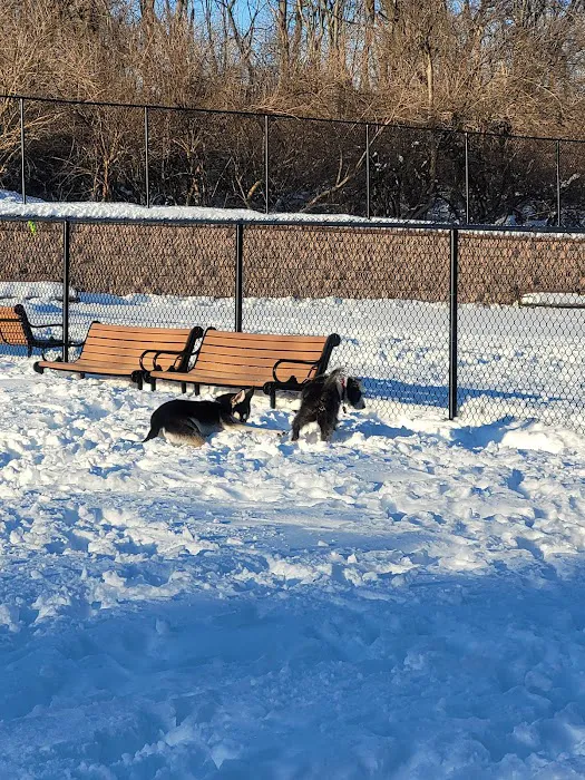 Hilltop Reservation Dog Park 4