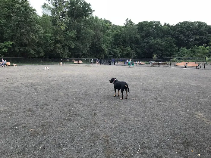 Hilltop Reservation Dog Park 2